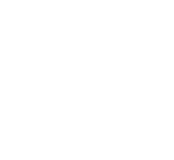 Canalys Cybersecurity Champion 2020 award