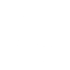 VB100 VB100