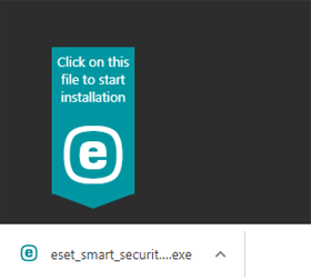 Eset shop internet security