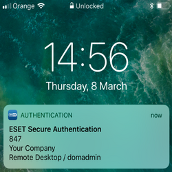 ESET Secure Authentication - двухфакторная аутентификация является эффективным решением.