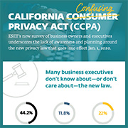 CCPA infographic thumbnail