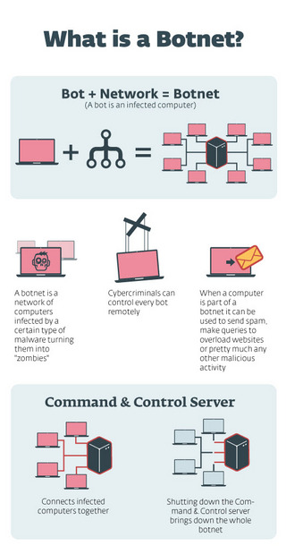 Infographic showing what a botnet is and how it works