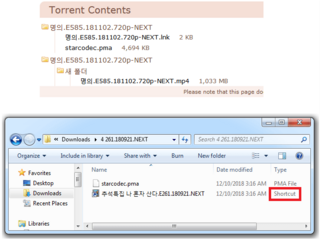 韓国ユーザーを標的にして バックドアが仕組まれたトレントファイルを使用する悪意のある攻撃 Eset