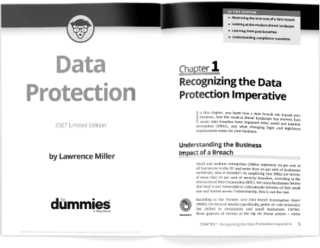 Data protection for dummies brochure