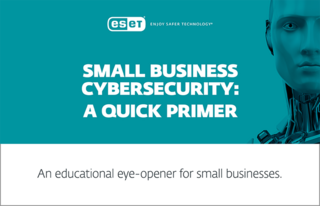 Small business cybersecurity: A quick primer