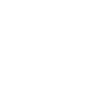 Security Service white icon